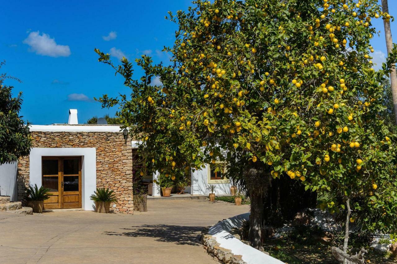 Villa Can Fita Puig D'en Valls Extérieur photo